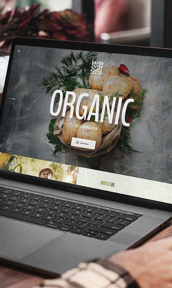 Single project 2 600x1000